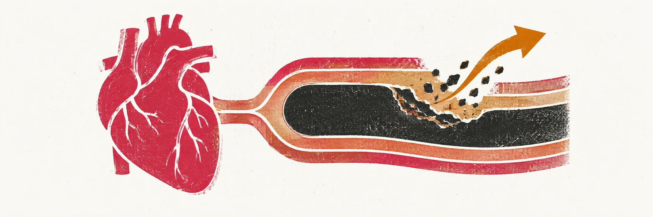 A flat crimson heart beside a narrow wall strip whose inner band is darkened in ink, with a saffron arrow pointing outward toward the outer edge.