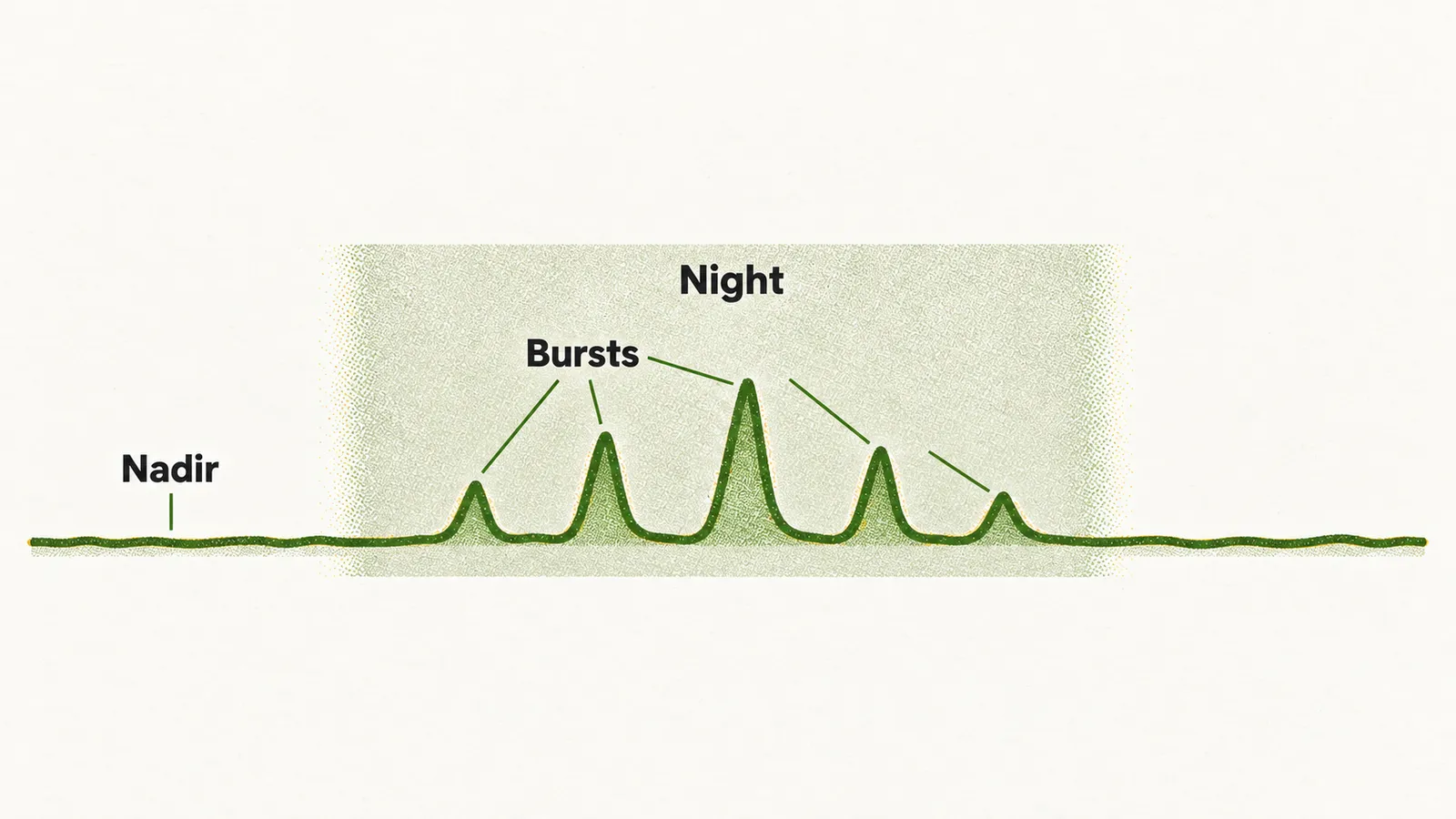 A day-long growth hormone trace shows clusters of green bursts rising from a low nadir, with the bursts concentrated during the night.
