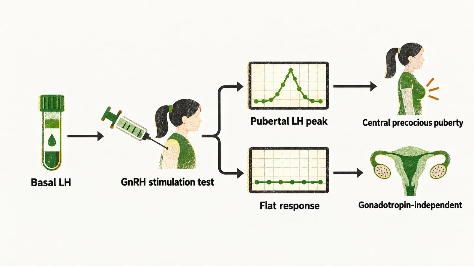 A flow from basal LH through a GnRH stimulation test, splitting into a pubertal LH peak for central precocious puberty and a flat response for a gonadotropin-independent cause.