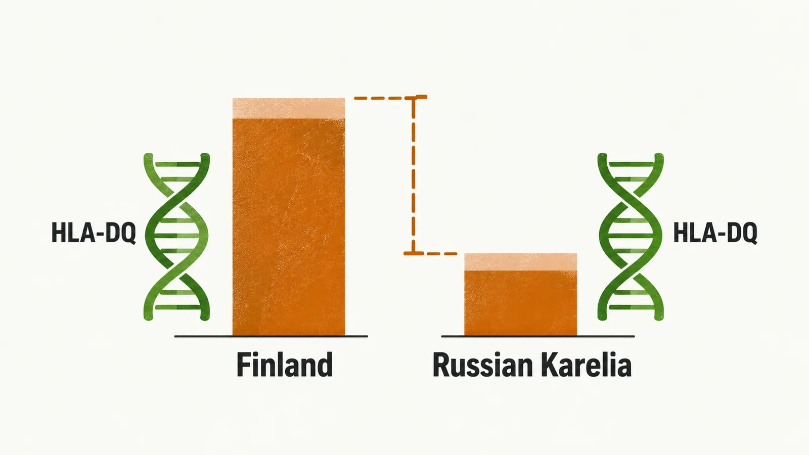 Two blocks labelled Finland and Russian Karelia, each with the same HLA-DQ icon, one crossed by a tall bar and the other by a short bar.