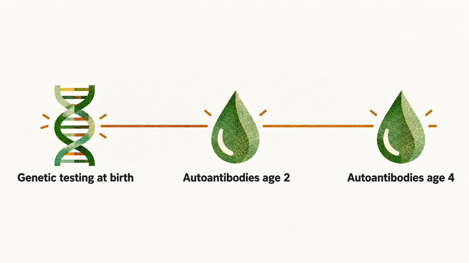 A timeline running from genetic testing at birth to autoantibody tests at ages 2 and 4.