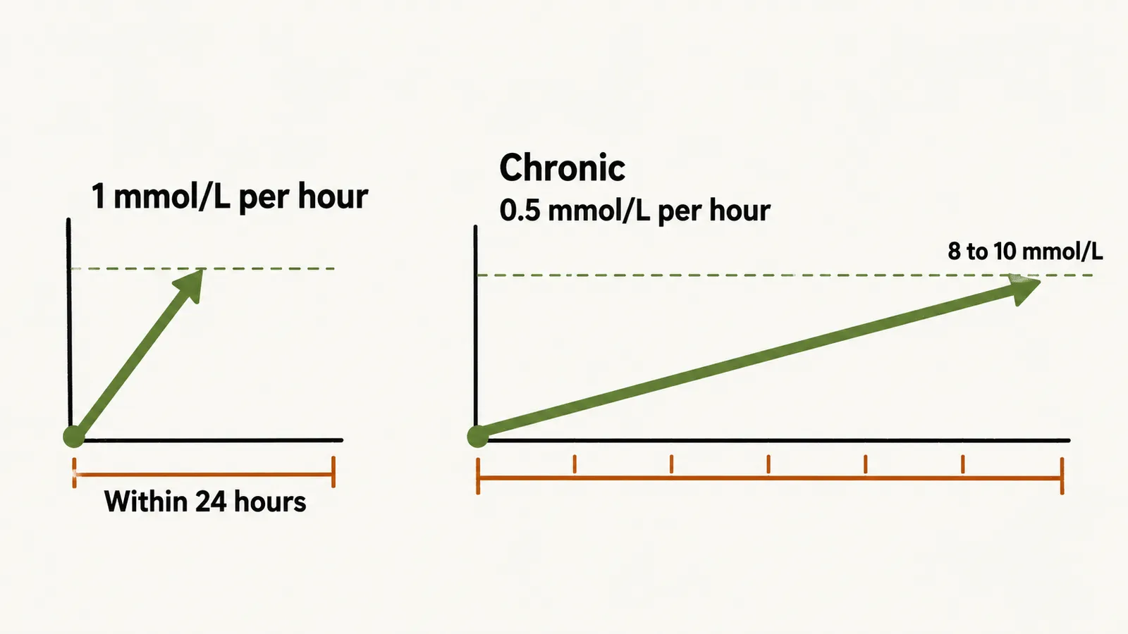 Two panels compare hypernatremia corrected within 24 hours, rising fast, with chronic hypernatremia, rising along a slower shallow line.