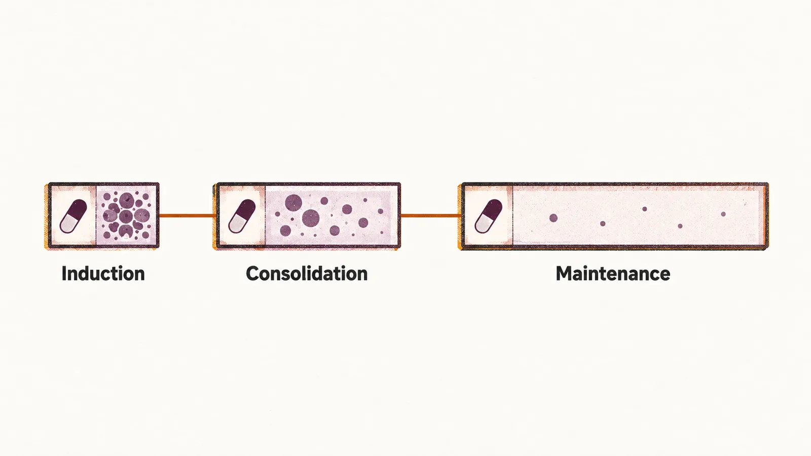 A timeline of three joined blocks labelled Induction, Consolidation and Maintenance, spanning the treatment course.