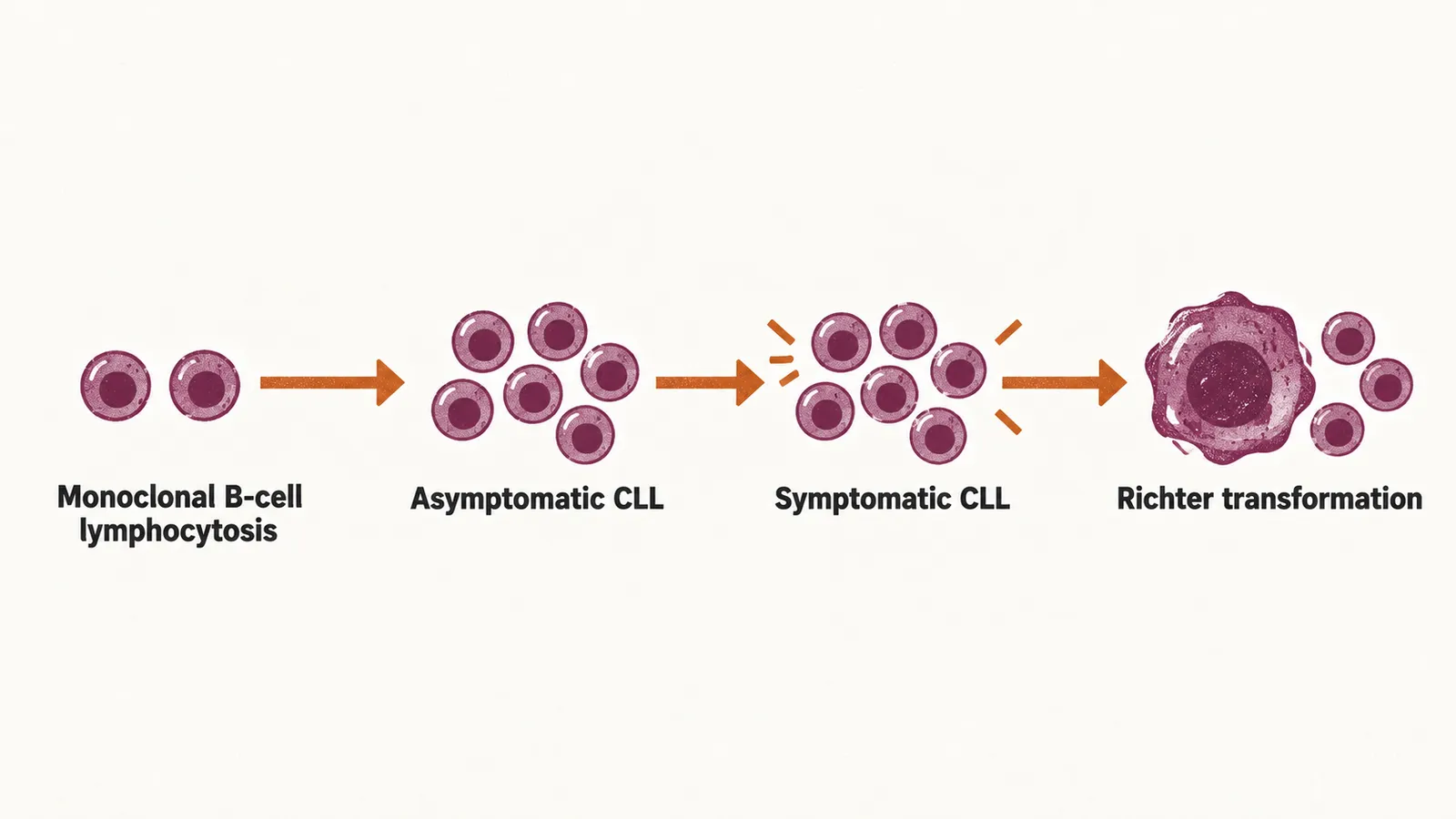 A left-to-right arrow carries four stations: a pair of identical cells, a larger cluster, the cluster with saffron signal marks, and one large irregular cell.