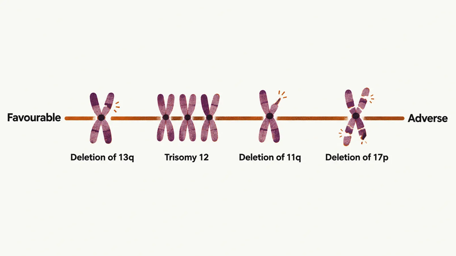 A horizontal scale runs from Favourable to Adverse with four chromosome icons along it, labelled Deletion of 13q, Trisomy 12, Deletion of 11q and Deletion of 17p.