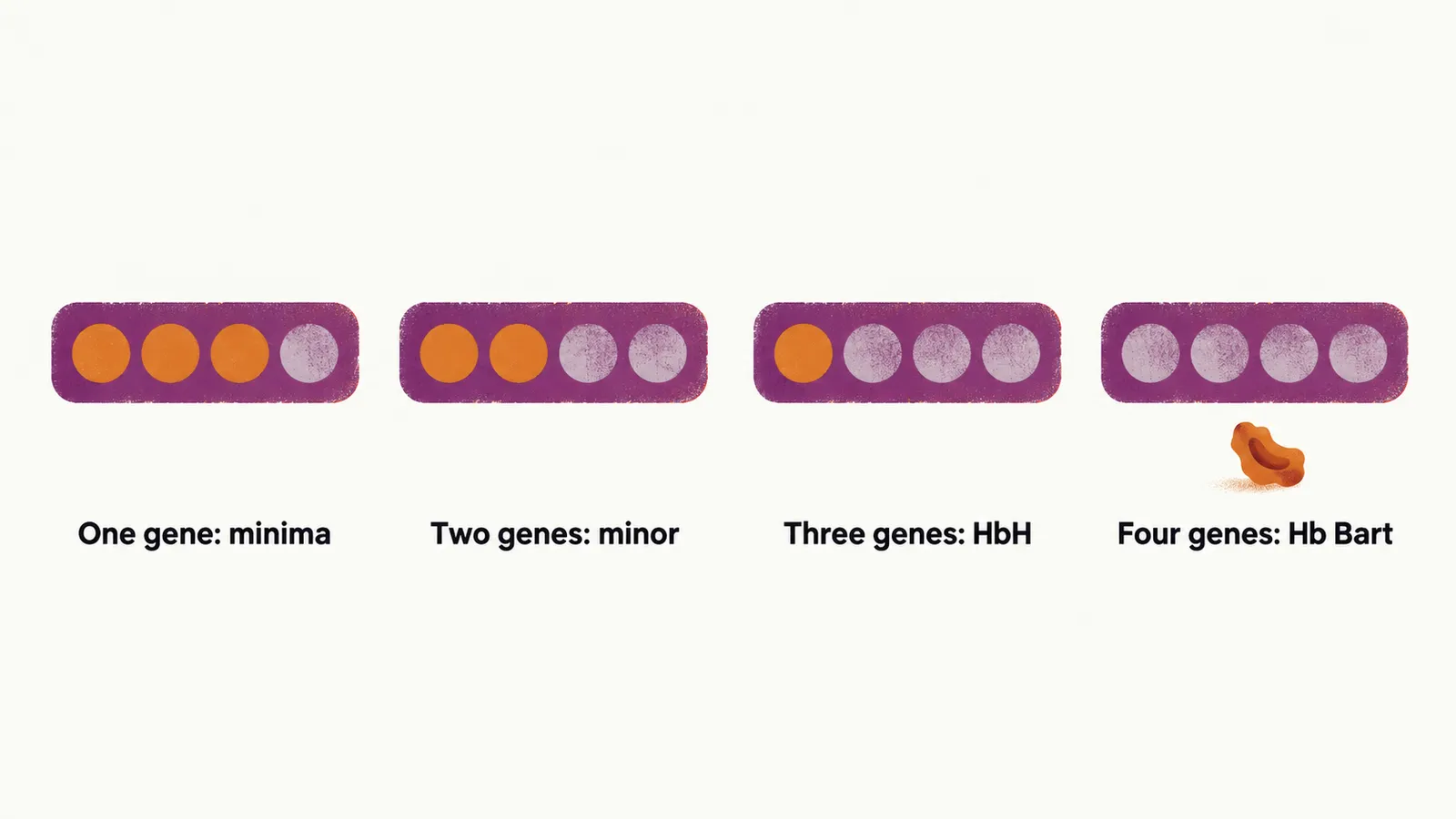Four panels left to right show a four-gene bar losing one, then two, then three, then all four of its marks, with a collapsed cell appearing only in the last panel.
