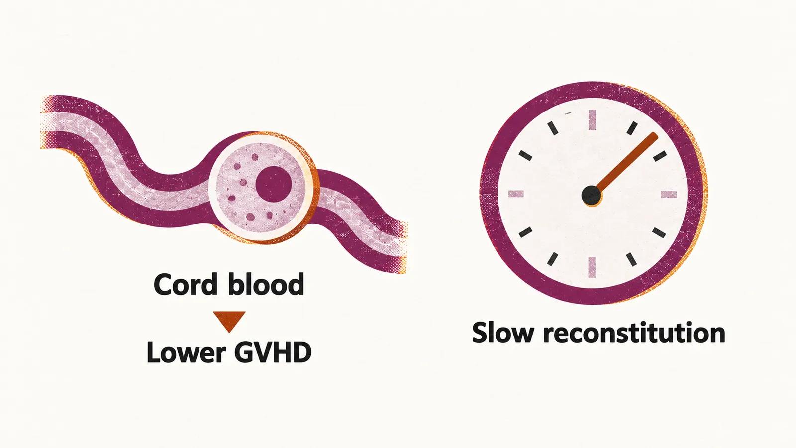 Two panels, one showing a cord-blood cell with lower GVHD and the other a clock with slow reconstitution.
