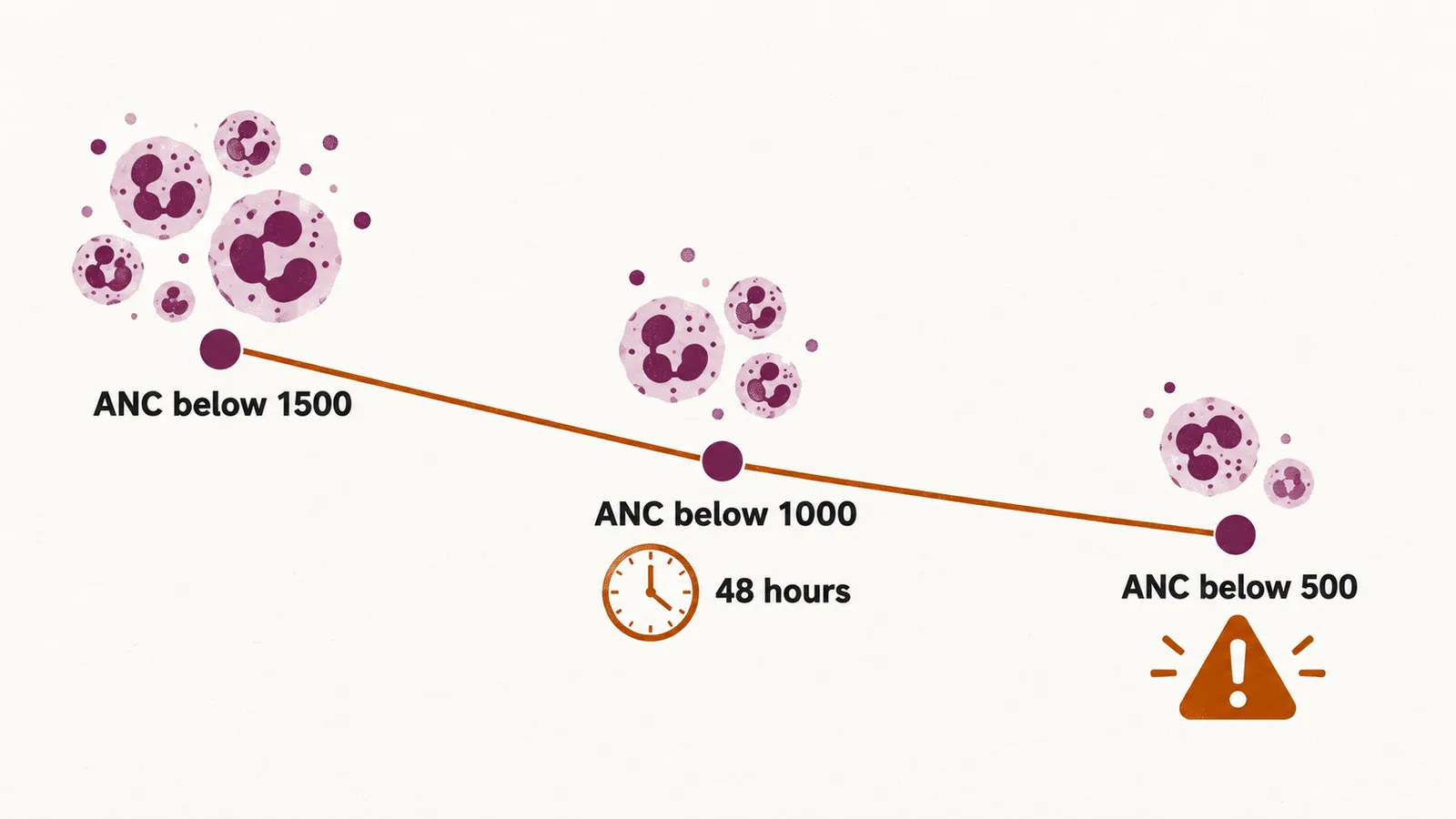 A descending scale of neutrophil counts, from below 1500 to below 1000 within 48 hours to the emergency level below 500.