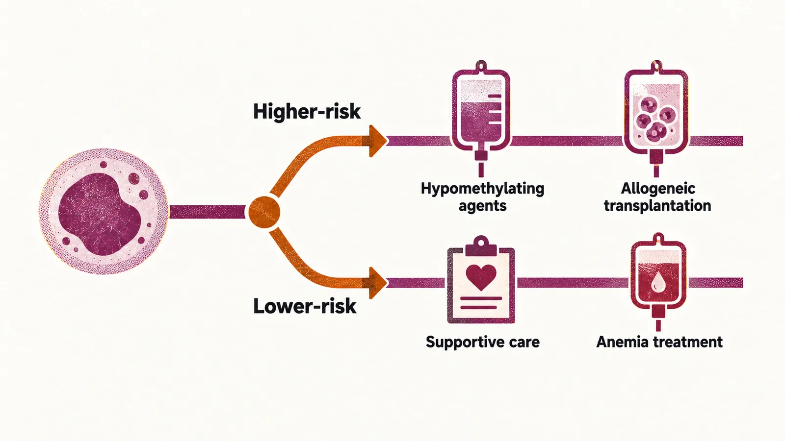 A channel forks at a risk marker into a lower-risk arm of simple care icons and a higher-risk arm leading through a drip bag to an allogeneic transplantation bag.