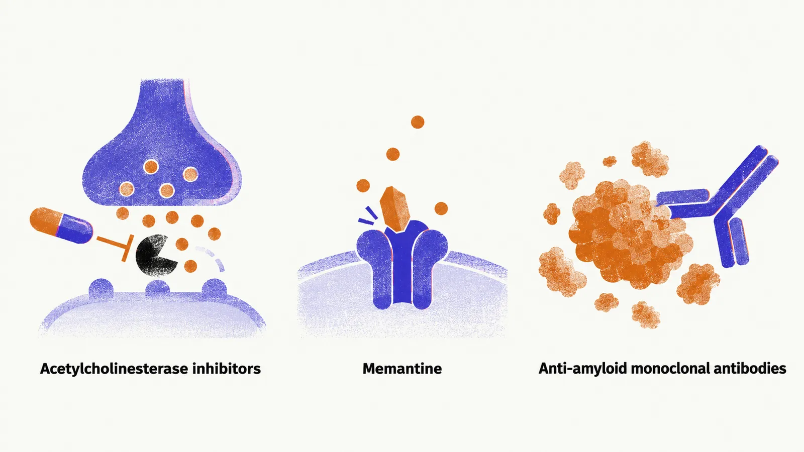 Three simple icons in a row, labelled acetylcholinesterase inhibitors, memantine and anti-amyloid monoclonal antibodies.
