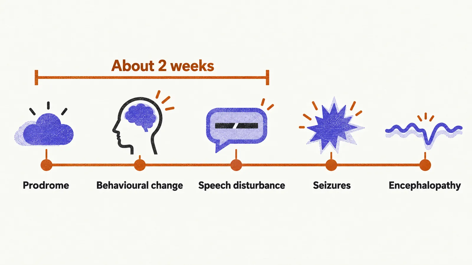 A left-to-right timeline of anti-NMDA receptor encephalitis, from prodrome through behavioural change and seizures to global encephalopathy.