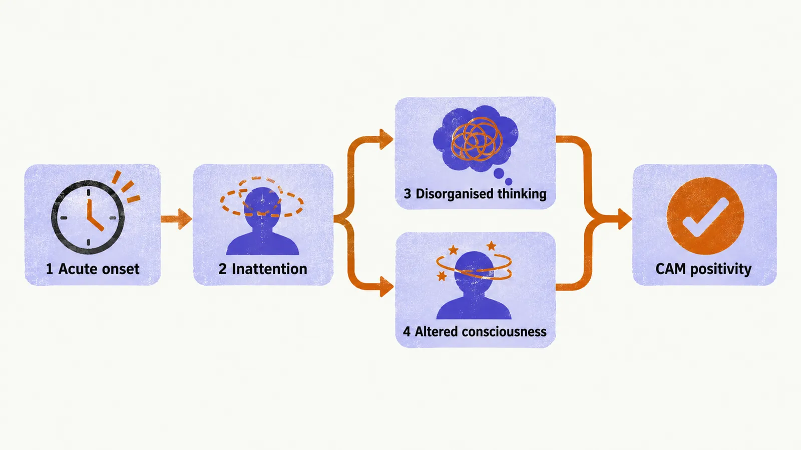 Numbered boxes 1 Acute onset and 2 Inattention lead in series, then split into parallel 3 Disorganised thinking and 4 Altered consciousness, rejoining at CAM positivity.