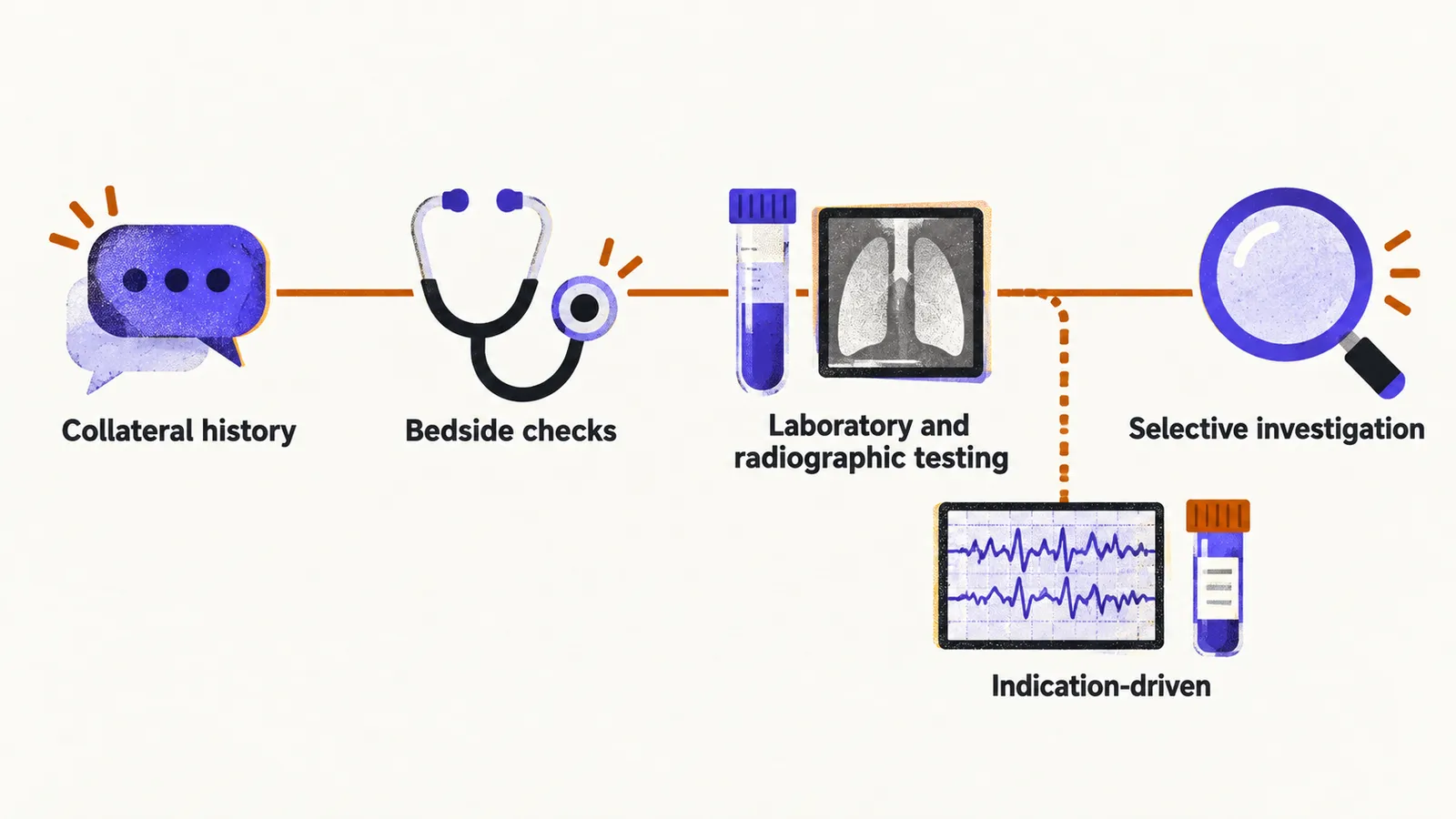 A left-to-right path joins collateral history, bedside checks, laboratory and radiographic testing, and selective investigation, with an indication-driven side branch.