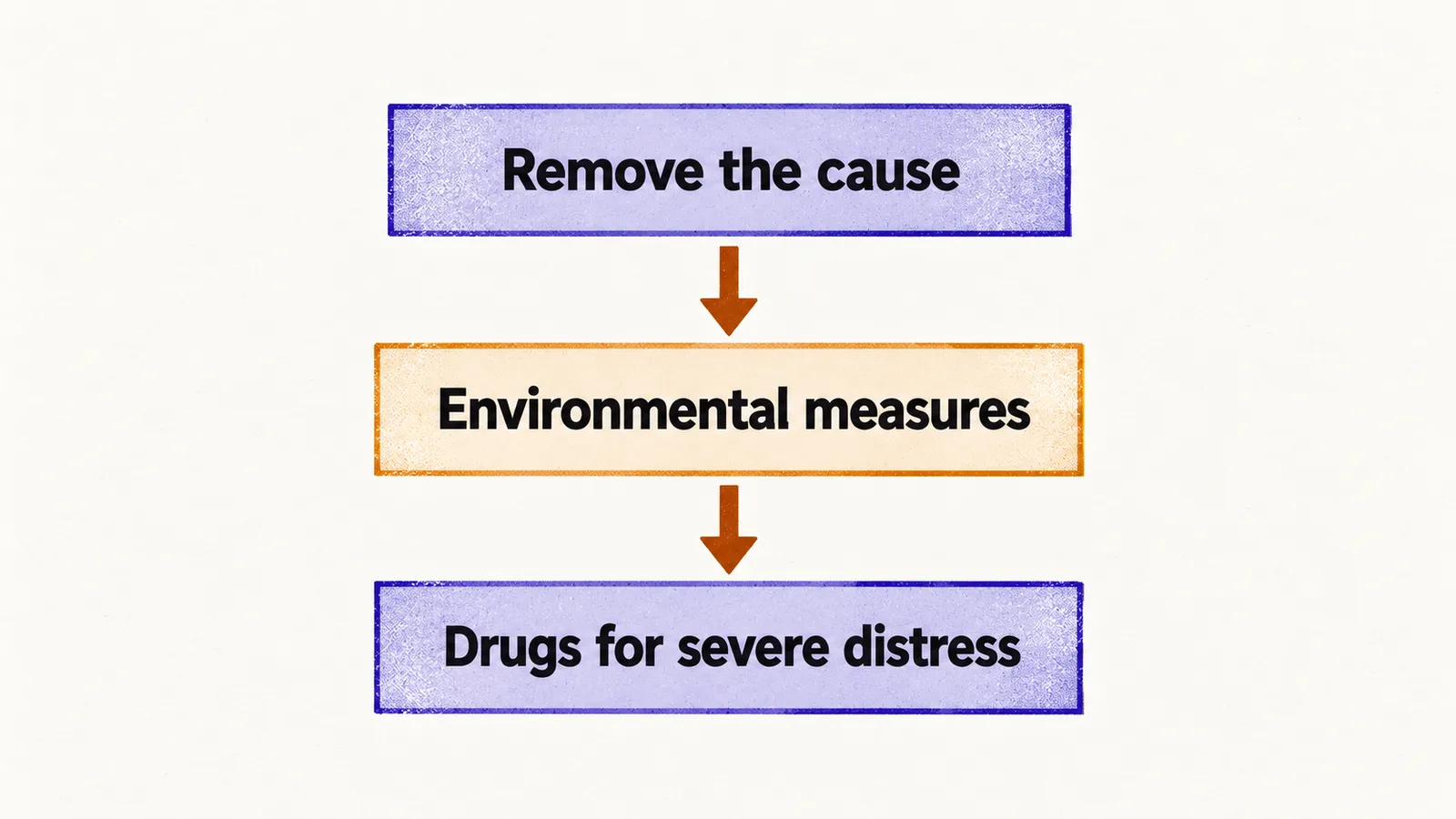 Three connected steps read top to bottom, labelled Remove the cause, Environmental measures, and Drugs for severe distress, giving the order of management.