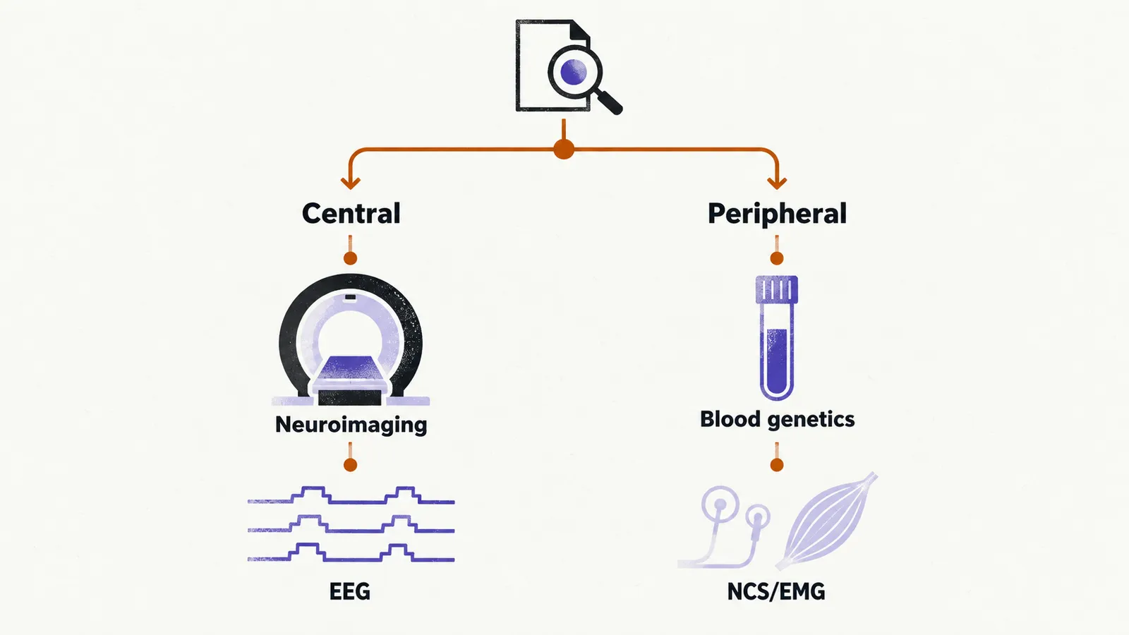 A single start point forks into two branches, the central one with a scanner ring and a stepped EEG wave, the peripheral one with a blood tube and a faint nerve and muscle mark.