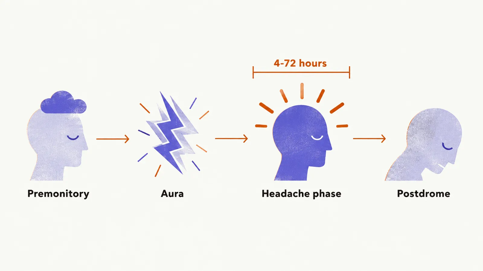 A timeline of four simple heads showing the premonitory, aura, headache phase, and postdrome stages, with the headache phase spanning 4-72 hours.