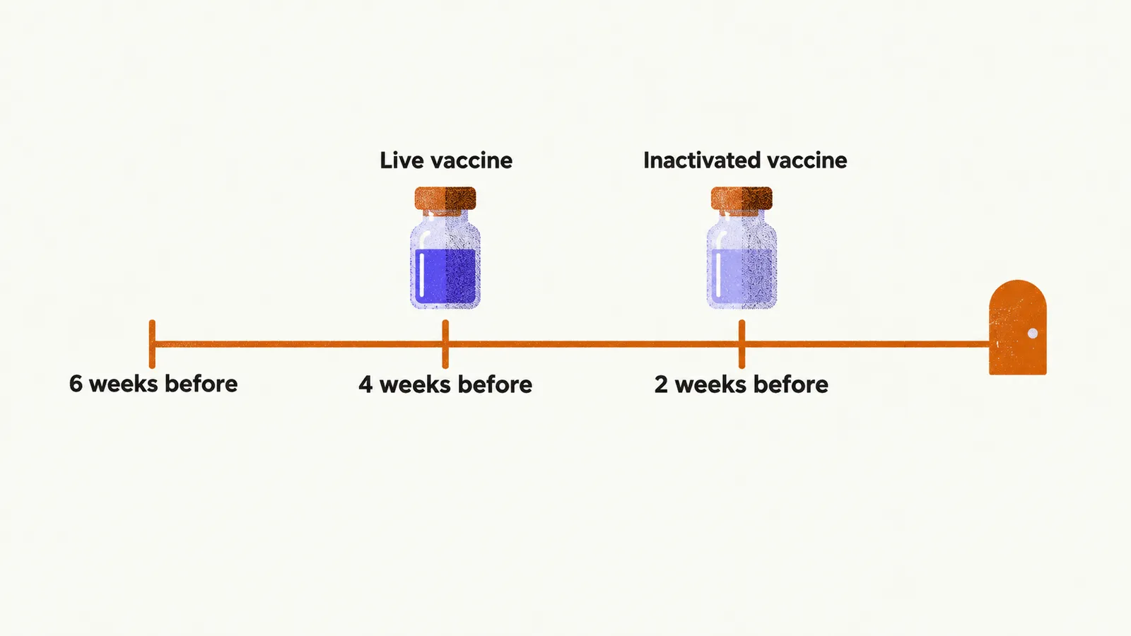A timeline before treatment start shows an inactivated vaccine at least 2 weeks before and a live vaccine at least 4 weeks before, or 6 weeks before some therapies.