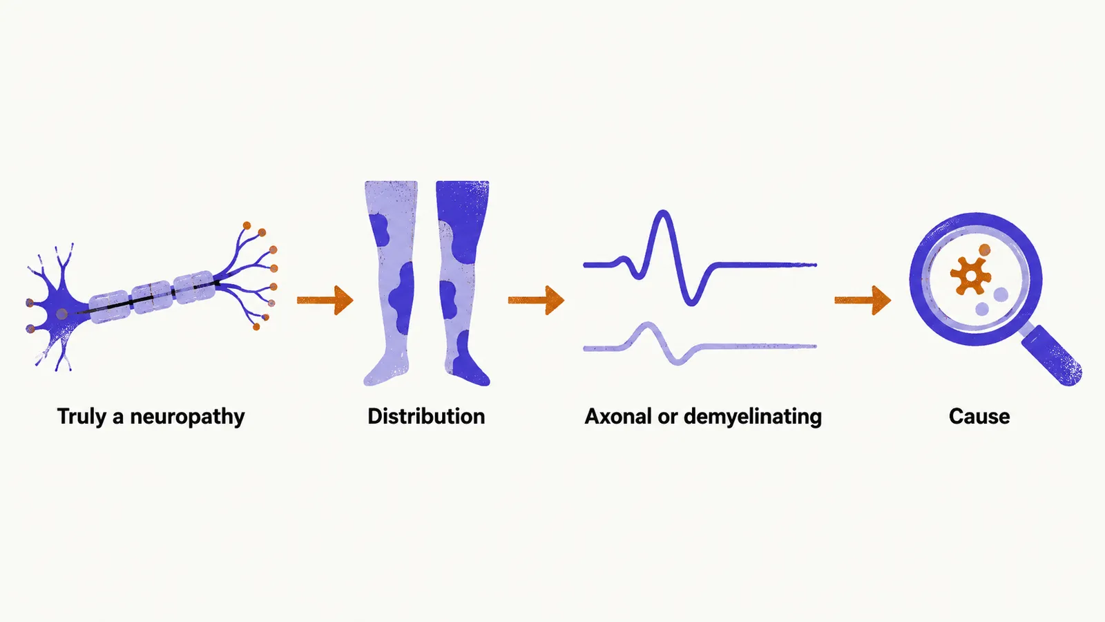 Four stations joined left to right by an arrow, a nerve, a distribution pattern, a waveform, and a magnifier over a cause.