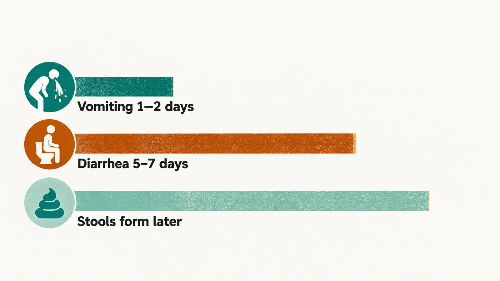 A left-to-right timeline with a short bar for vomiting lasting 1–2 days and a longer bar for diarrhea lasting 5–7 days, with a lighter bar continuing further.