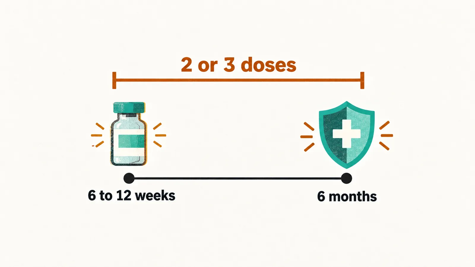 An age timeline with a vaccine vial at the first station marked 6 to 12 weeks and a shield at 6 months, joined by a bracket marked 2 or 3 doses.