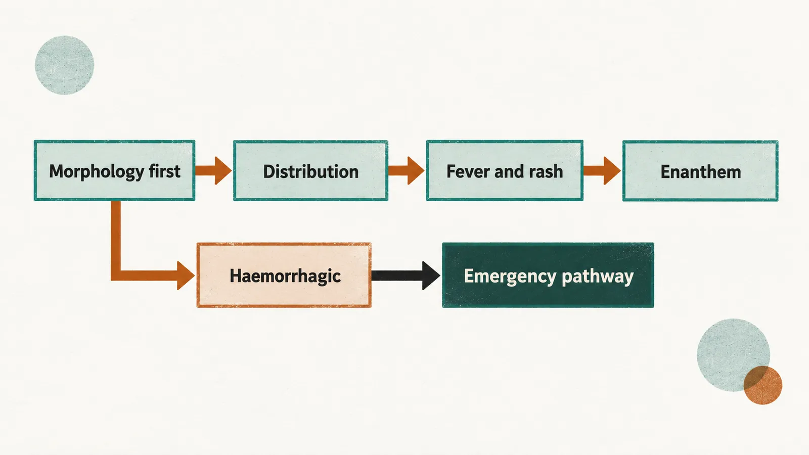 Four boxes on cream paper joined by arrows and labelled Morphology first, Distribution, Fever and rash, Enanthem, with a lower branch through Haemorrhagic to a darker Emergency pathway box.