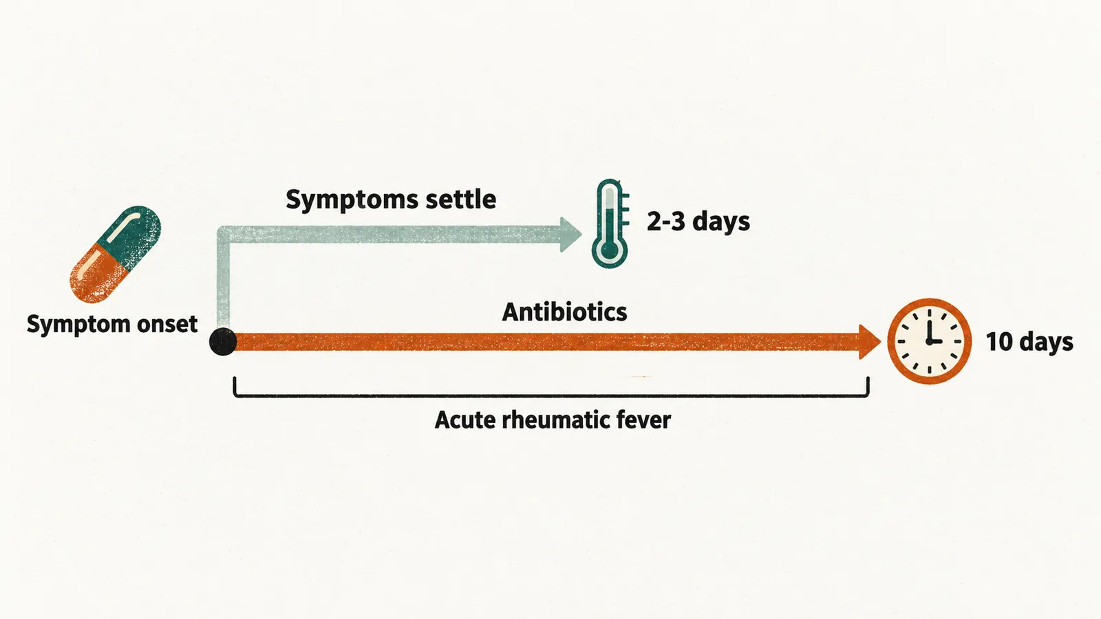 Two bars from one capsule. Pale bar, tagged Symptoms settle, ends at a 2-3 days thermometer; saffron bar, tagged Antibiotics, ends at a 10 days clock, bracket tagged Acute rheumatic fever.
