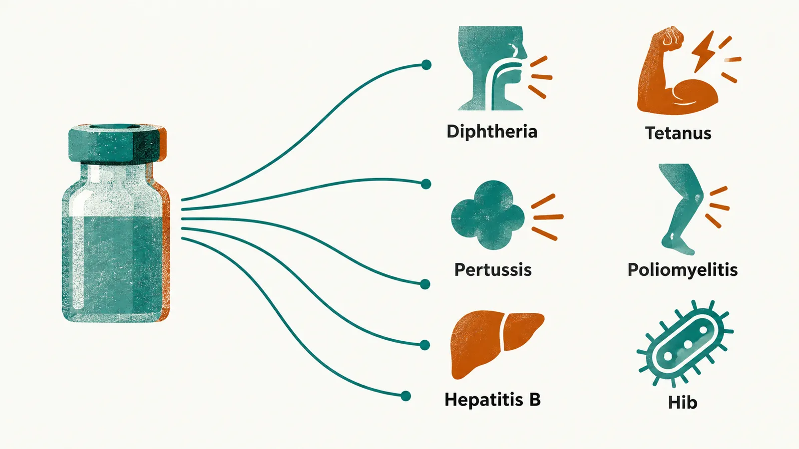 A hexavalent vaccine vial joined by arcs to six labelled icons: Diphtheria, Tetanus, Pertussis, Poliomyelitis, Hepatitis B and Hib.