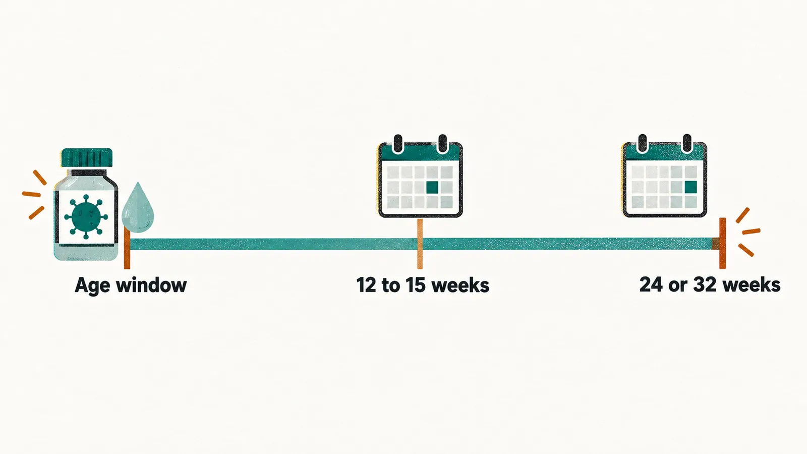 A timeline marking the rotavirus Age window, the first dose by 12 to 15 weeks and completion by 24 or 32 weeks.