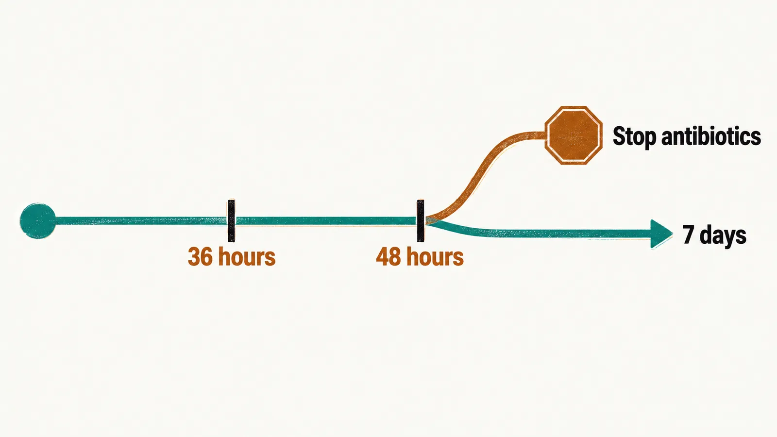 A timeline from starting antibiotics to reassessment at 36 hours for early-onset and 48 hours for late-onset, then stopping or continuing for 7 days.
